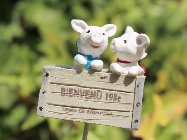 お得なキャンペーン情報♪